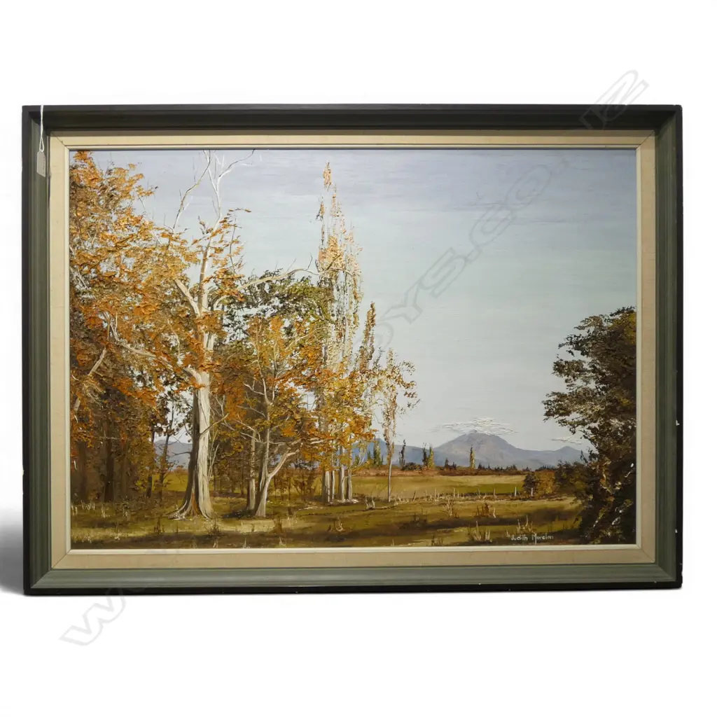 JUDITH MORETON, 'RICHMOND LANDSCAPE, NELSON', OIL ON CANVAS, SIGNED, 600 X 855mm Image 1++
