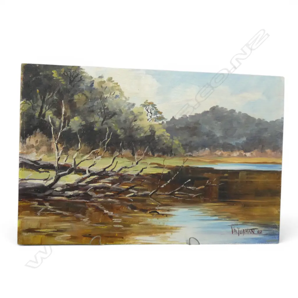 UNFRAMED OIL ON BOARD  LAKE RUAPANI SIGNED VAL TUBMAN H230 W340MM Image 1++