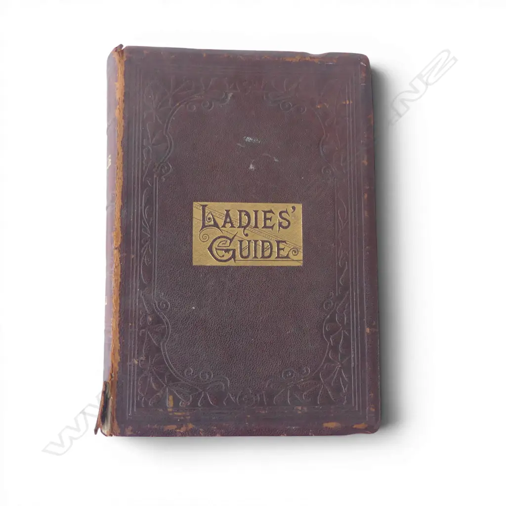 LADIES' GUIDE - HEALTH & DISEASE by J. H. KELLOGG, W. D. CONDIT & CO 1880 Image 1++