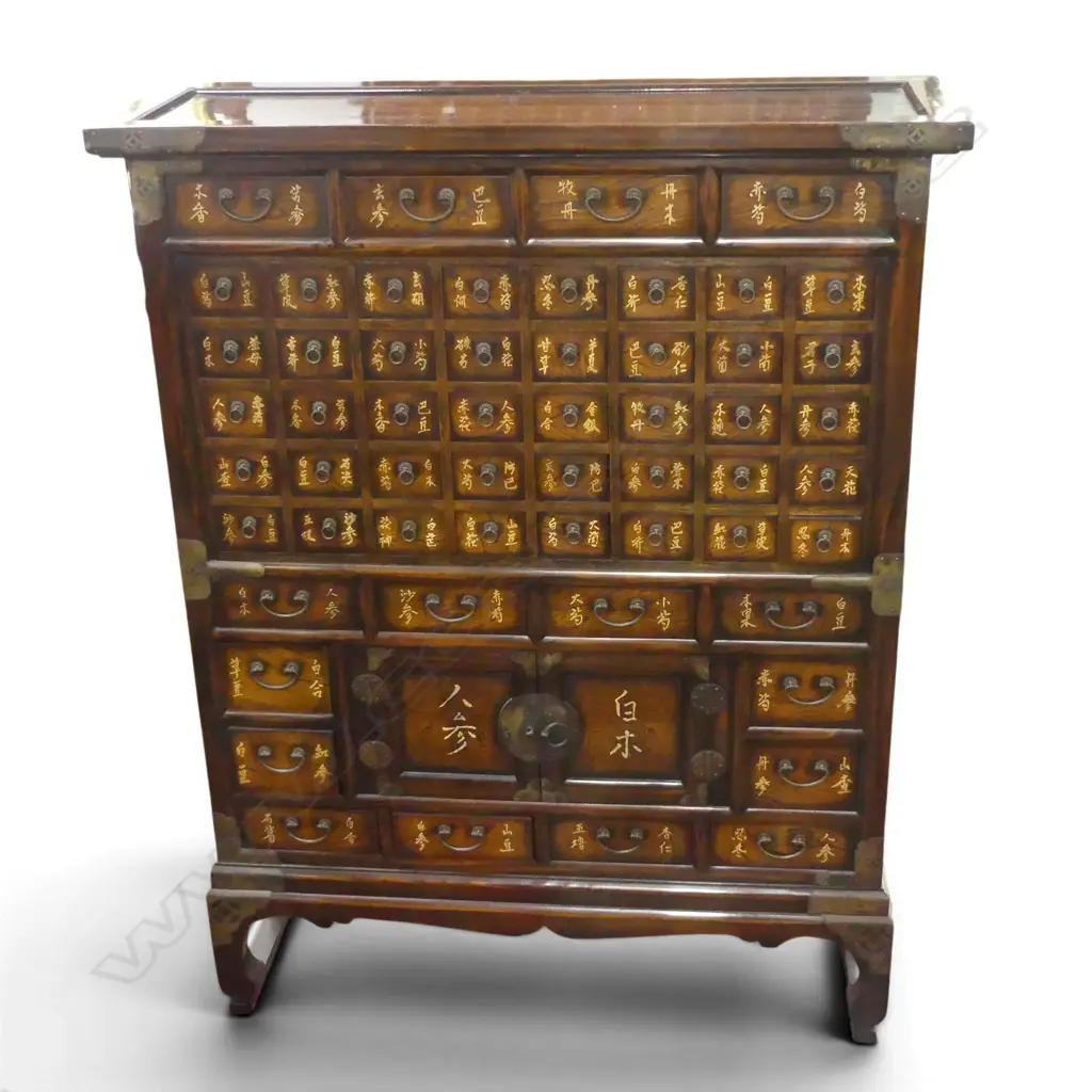 QUALITY CHINESE ELM TALL 56 SMALL DRAWER + 2 door MEDICINE CHEST pierced brass corners 935 x 300 x 1200mm Image 1++