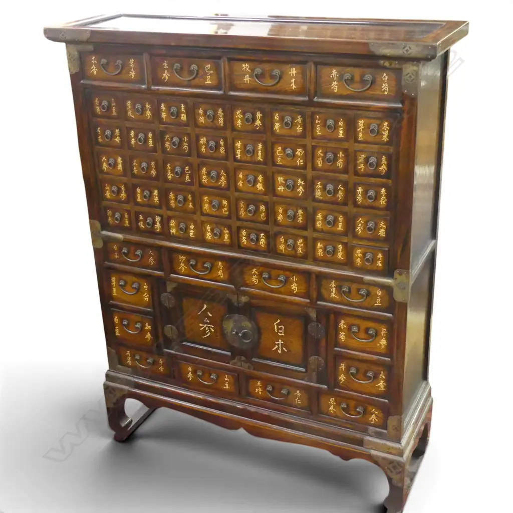 QUALITY CHINESE ELM TALL 56 SMALL DRAWER + 2 door MEDICINE CHEST pierced brass corners 935 x 300 x 1200mm Image 1++