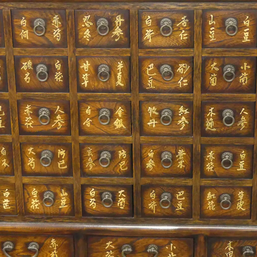 QUALITY CHINESE ELM TALL 56 SMALL DRAWER + 2 door MEDICINE CHEST pierced brass corners 935 x 300 x 1200mm Image 1++
