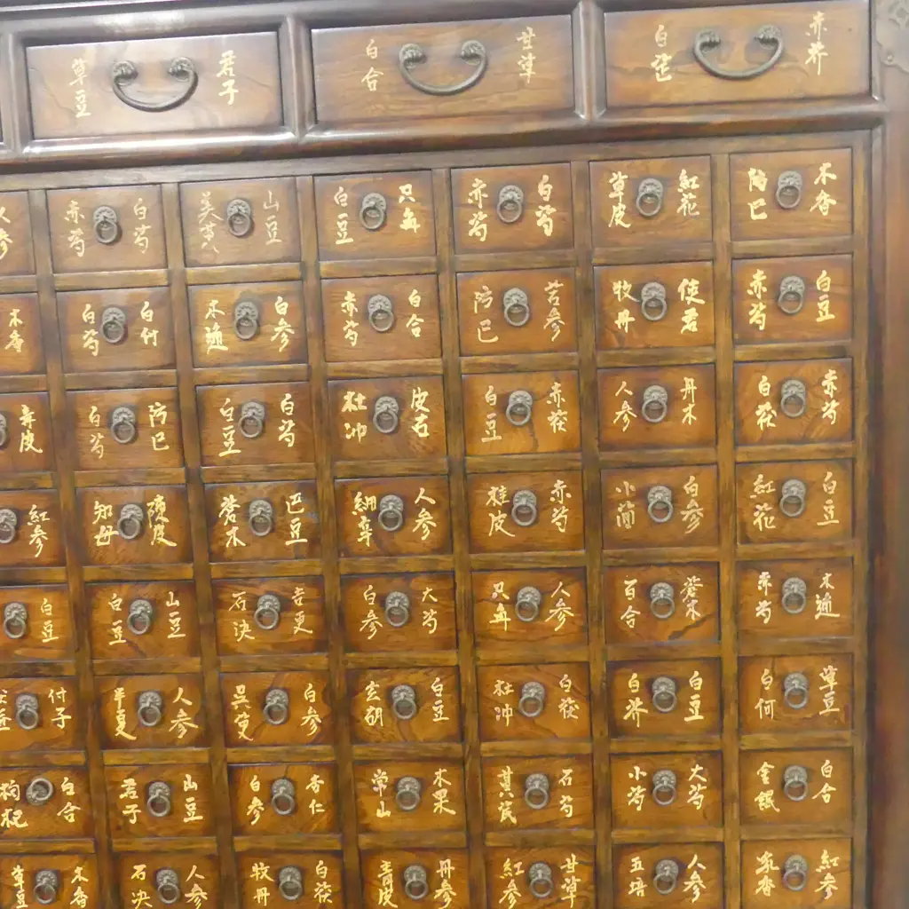 QUALITY CHINESE TALL 96 SMALL 2 door DRAWER MEDICINE CHEST pierced brass corners 935 x 300 x 1565mm Image 1++