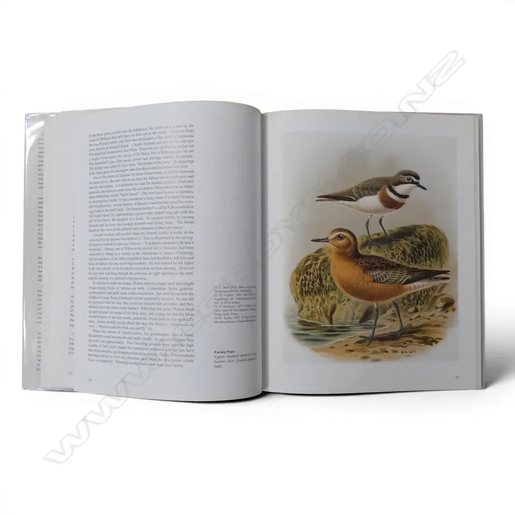 2 BOOKS; MAORI BIRD LORE / FOREST LORE OF THE MAORI Image 1++