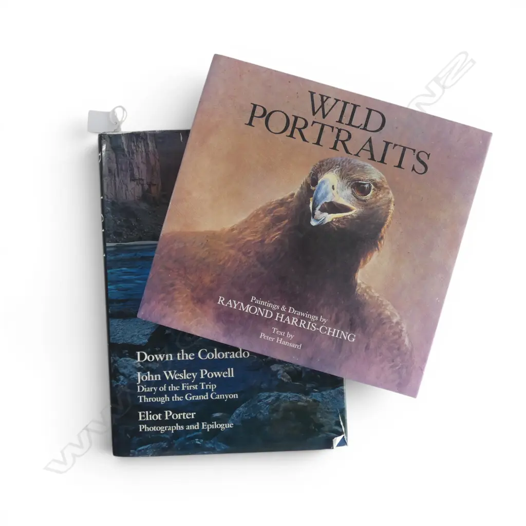 2 LRG FORMAT BOOKS; 'DOWN the COLORADO' signed & owned by LEN CASTLE & WILD PORTRAITS paintings by RAYMOND HARRIS-CHING Image 1++