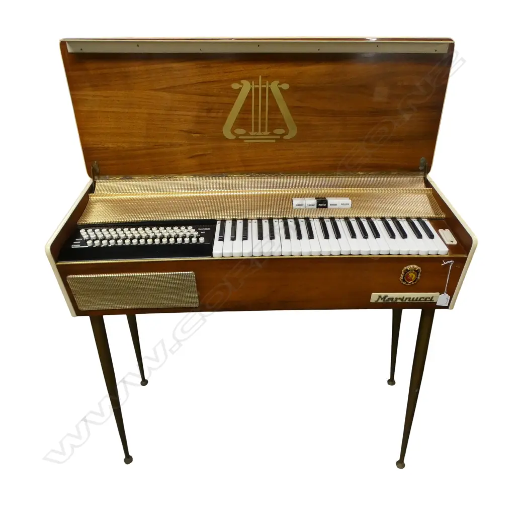 MARINUCCI ORGAN 875x310x820mm Image 1++