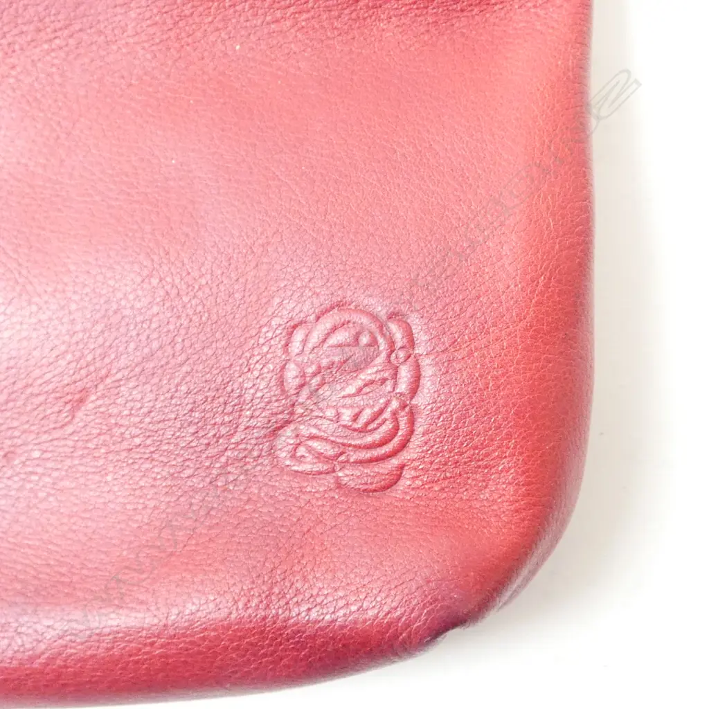 ZAMBESI RED LEATHER HAND BAG - MADE IN NZ 230x230mm Image 1++