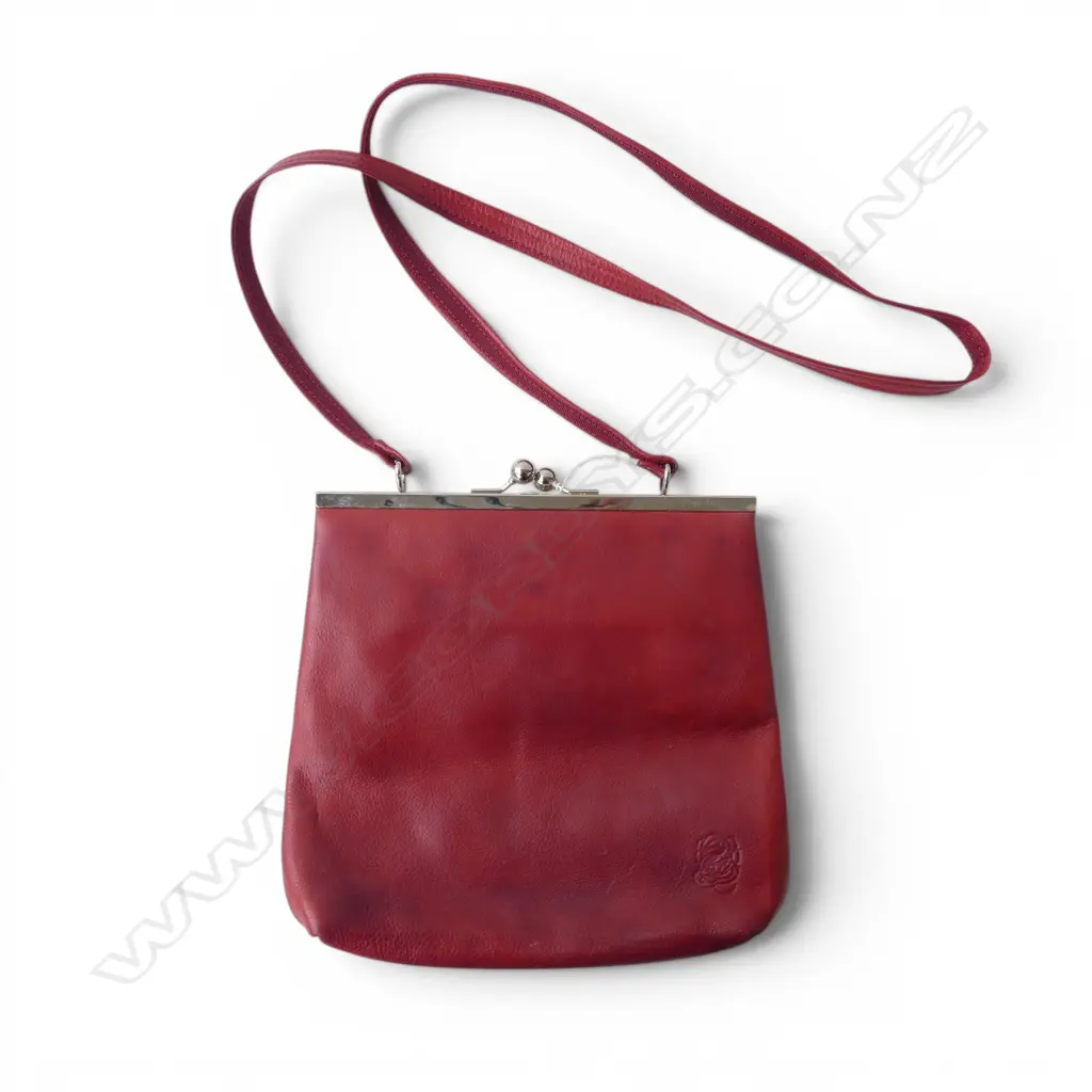 ZAMBESI RED LEATHER HAND BAG - MADE IN NZ 230x230mm Image 1++