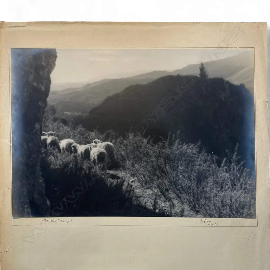 Reg P Bell 'Mountain Patay', NZ, 1951, photographic print, 202 x 292mm Image 1++