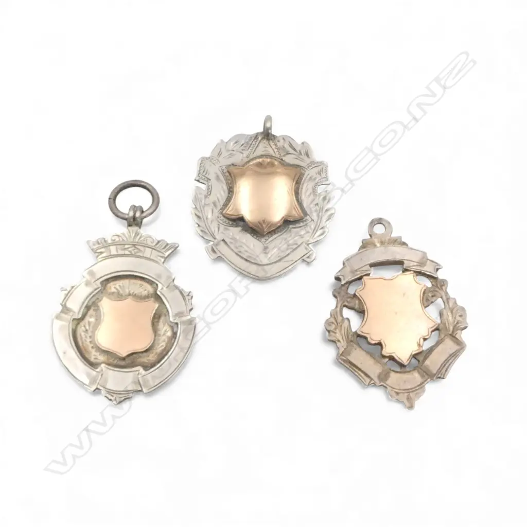 3 STG SILVER & GOLD FOB MEDALLIONS unengraved 26.03gms Image 1++