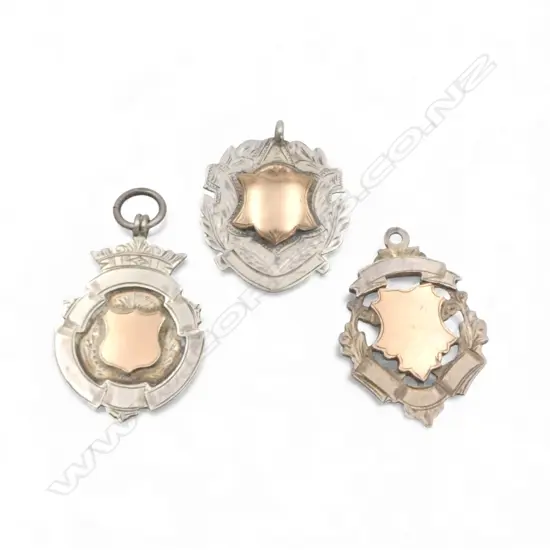 3 STG SILVER & GOLD FOB MEDALLIONS unengraved 26.03gms