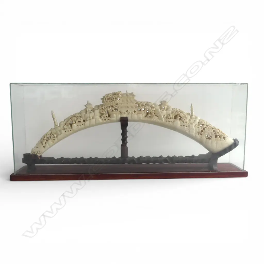 CHINESE RESIN HORN W.680mm faults in display case760x140x300mm Image 1++