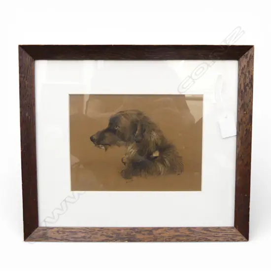 19thC ink & w/c study of a dog's head initialled & dated 6.3.84. 155 x 210mm