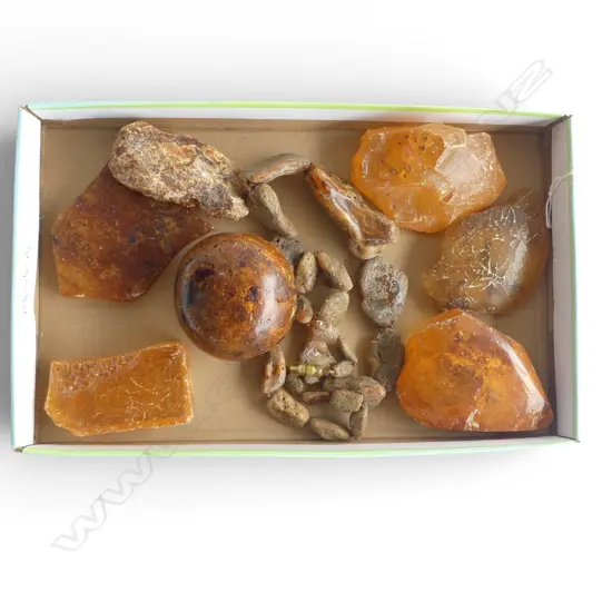 A selection of vintage worked kauri gum pieces  includes: seven polished pieces, shield, ball etc together with a necklace of apparently naturally-worn graduating nuggets. Provenance: From the John Perry estate.