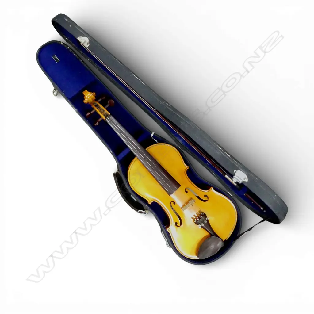 CASED VIOLIN 'BLESSING' MADE IN CHINA L.600mm Image 1++