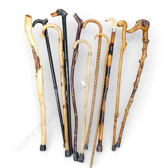 11 WALKING STICKS