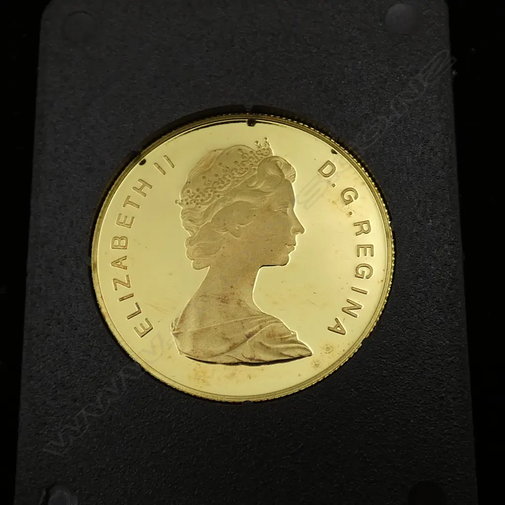 22CT CANADIAN 1979 $100 PROOF COIN, 17gms Image 1++