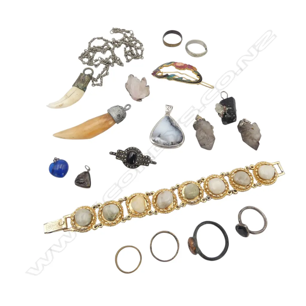2 TOOTH PENDANTS + OTHER ASST. JEWELLERY  Image 1++