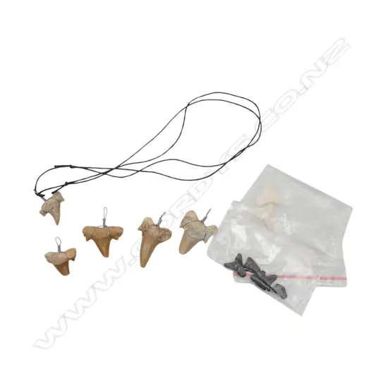 COLLECTION SHARK TEETH, 1 on necklace cord, some pendants, some fossilsed
