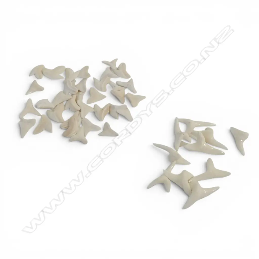 2 bags of shark's teeth. 'under 1/2"' & 'Malo shark's teeth' Image 1++