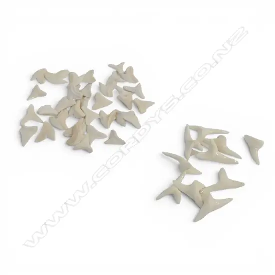 2 bags of shark's teeth. 'under 1/2"' & 'Malo shark's teeth'