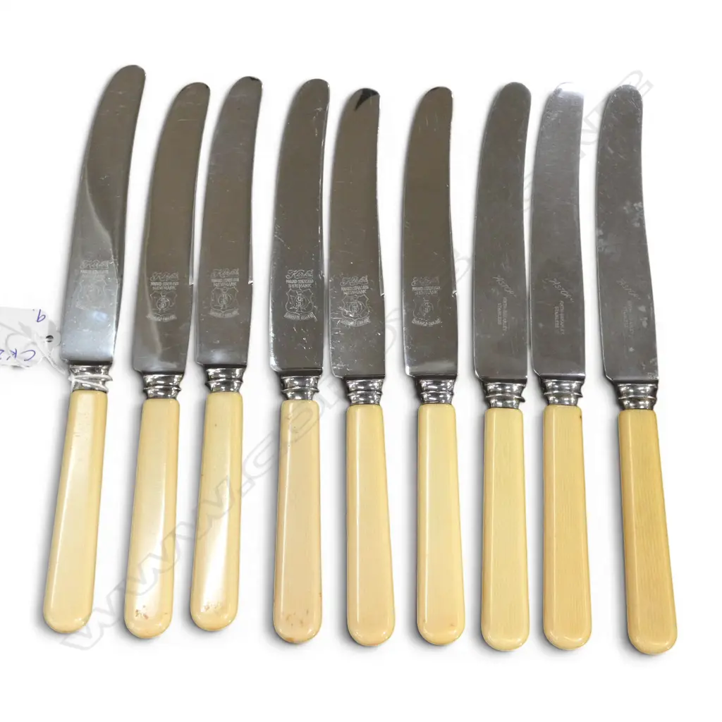9 IVORINE 'BONE' HANDLED KNIVES L.235mm Image 1++