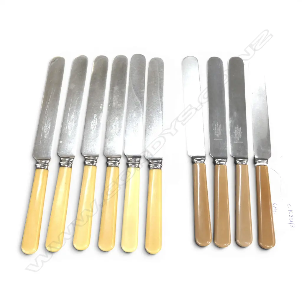 10 IVORINE 'BONE' HANDLED KNIVES (6+4) L.240mm Image 1++