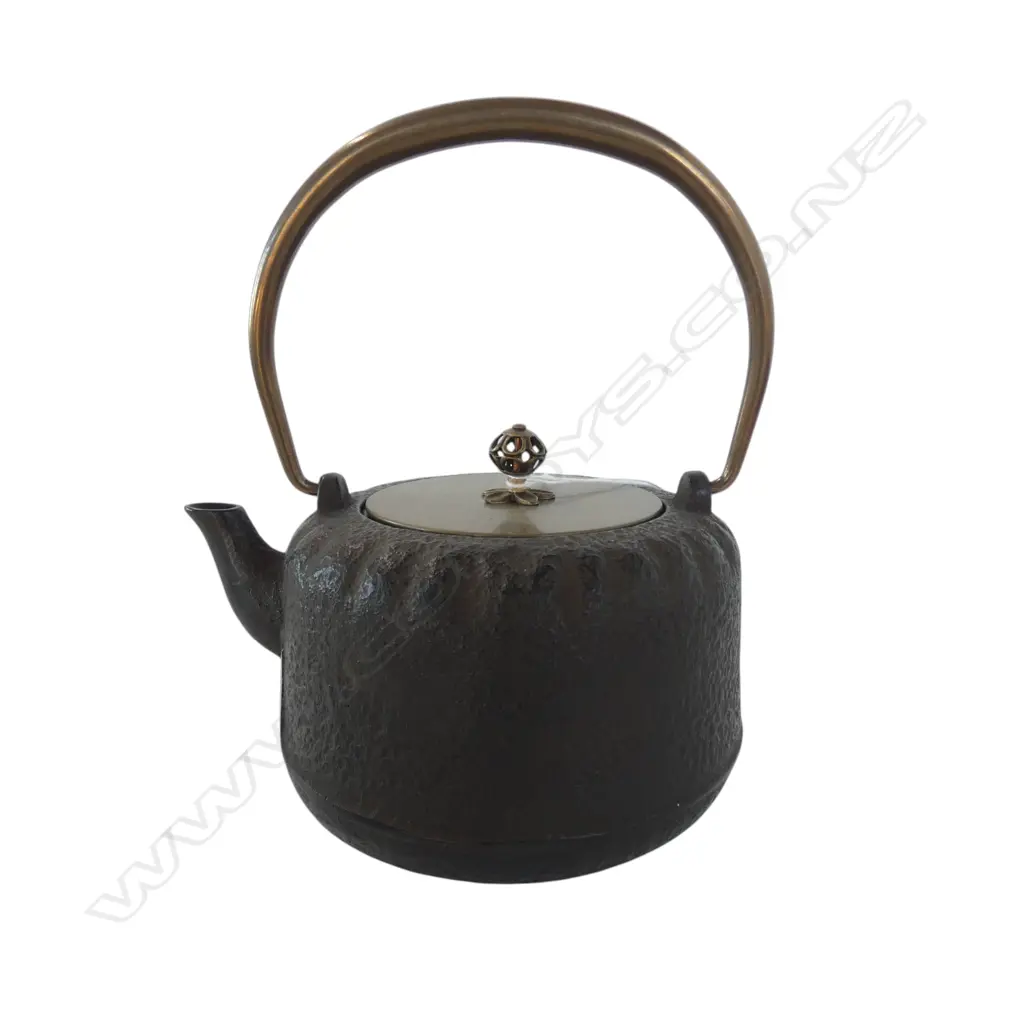 ORIENTAL CAST IRON TEAPOT H.200mm Image 1++