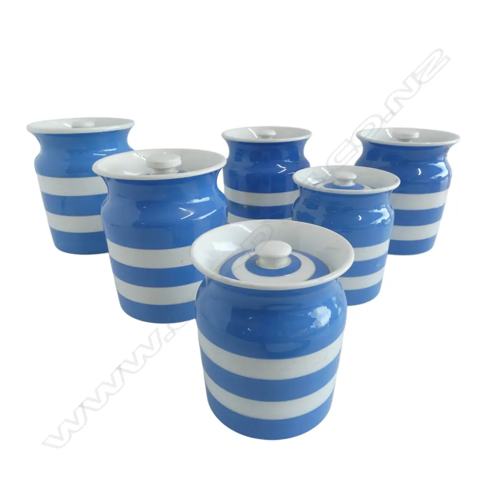 6 CORNISHWARE CANNISTERS (4 GREEN LABEL, 2 ONIONS) H.170mm Image 1++
