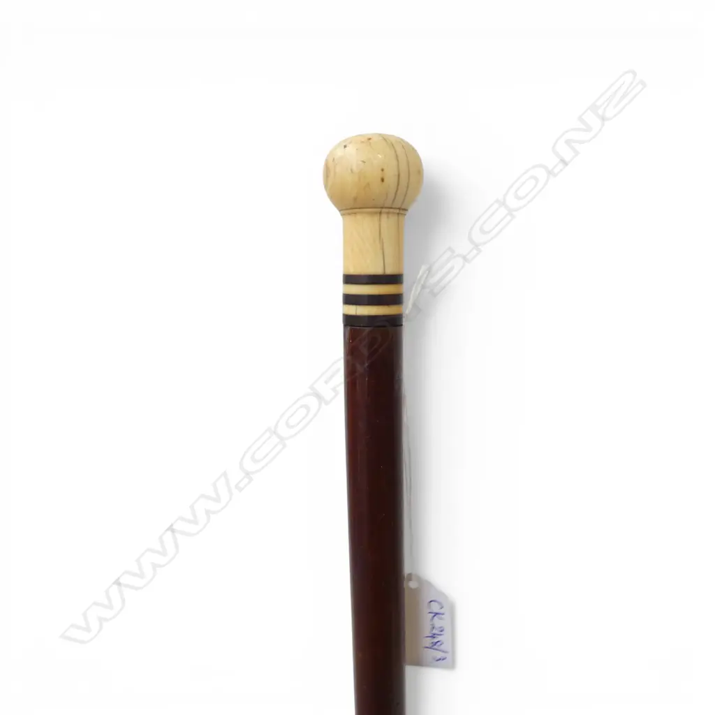 WALKING STICK w. IVORY KNOB L.870mm Image 1++