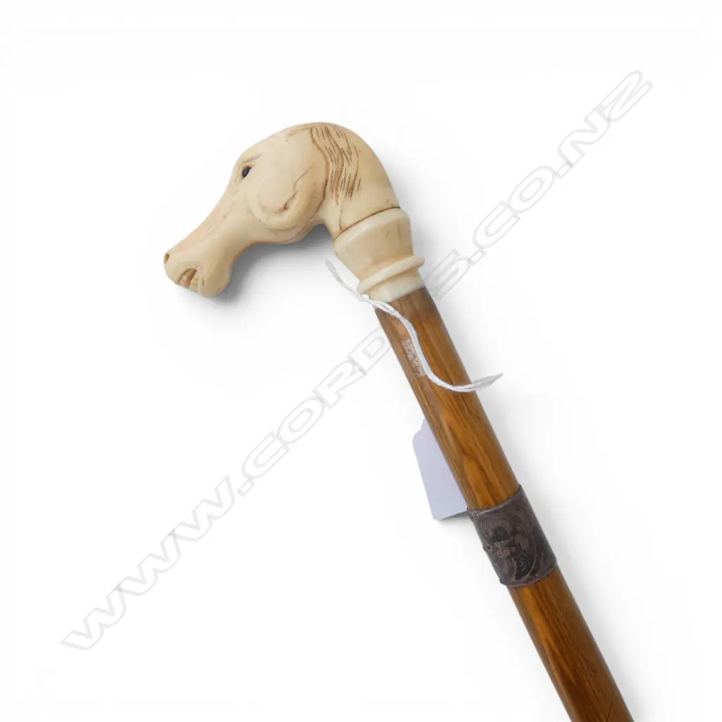 WALKING STICK w. IVORY HORSE HEAD HANDLE & STG SILVER TRIM L.905mm Image 1++