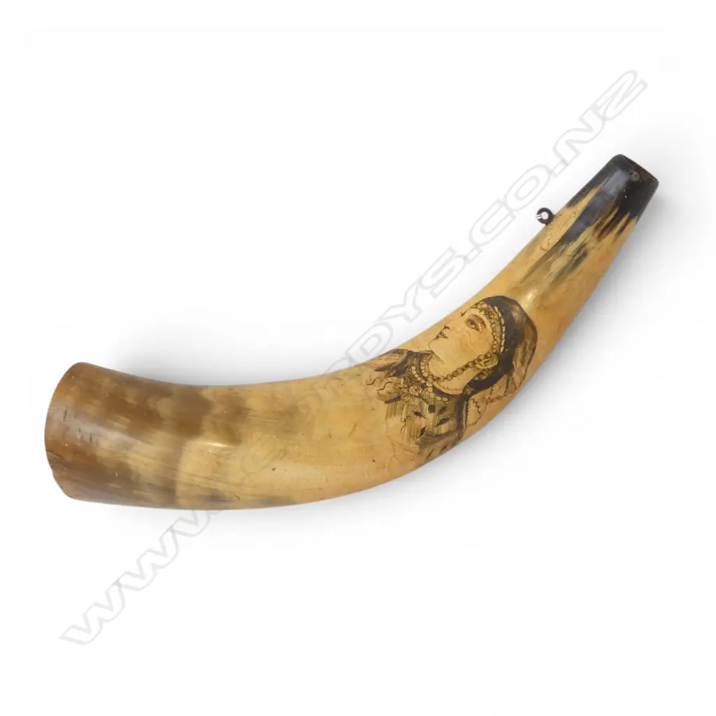 BULLOCK HORN SCRIMSHAW w. two exotic women, signed seagull L.370mm Image 1++
