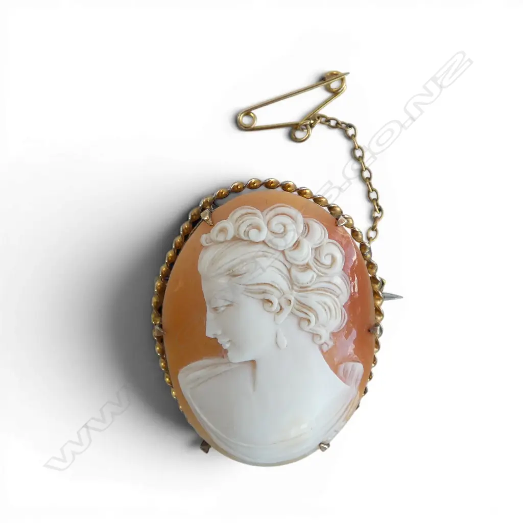 9ct GOLD LINED (plated) CARVED CAMEO BROOCH Image 1++