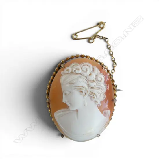 9ct GOLD LINED (plated) CARVED CAMEO BROOCH