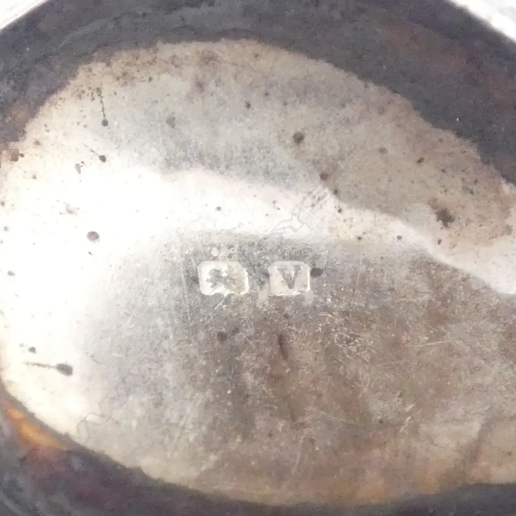 STG SILVER SOVEREIGN CASE 25mm dia + POWDER 40mm dia 31gms Image 1++