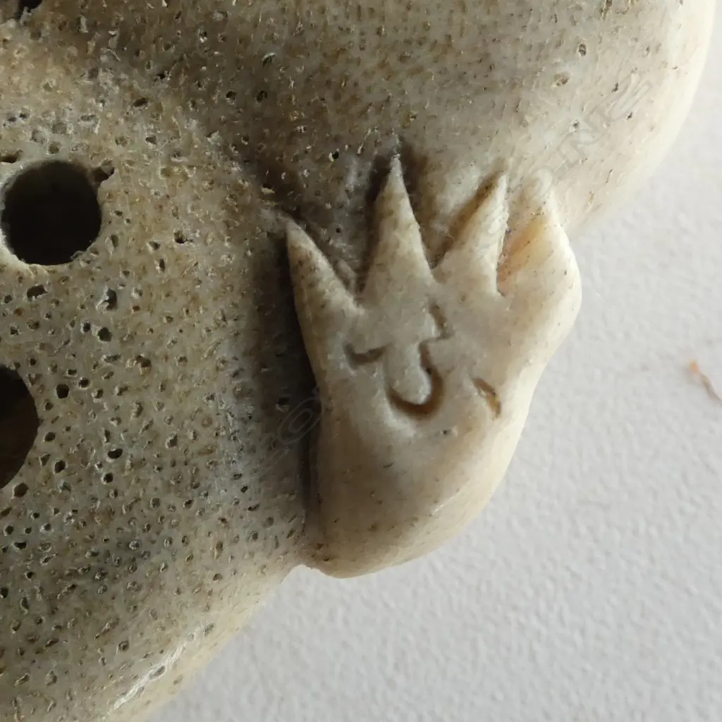 Fumio Noguchi (JAPANESE/NZ) SALAMANDER CARVED DEER ANTLER NETSUKE buffalo horn eyes. Signed. L.53mm Image 1++