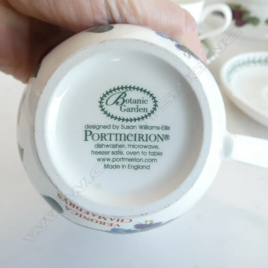 PORTMEIRION BOTANIC GARDEN TEAPOT & 6CSS Image 1++