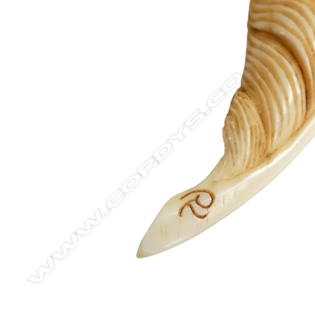 Fumio Noguchi (JAPANESE/NZ) finely CARVED WILD PIG TUSK FEATHER. Dyed by seed. Signed. L.88mm Image 1++