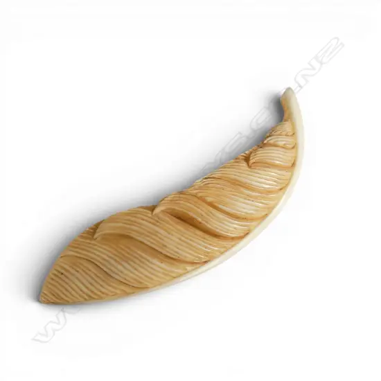 Fumio Noguchi (JAPANESE/NZ) finely CARVED WILD PIG TUSK FEATHER. Dyed by seed. Signed. L.88mm