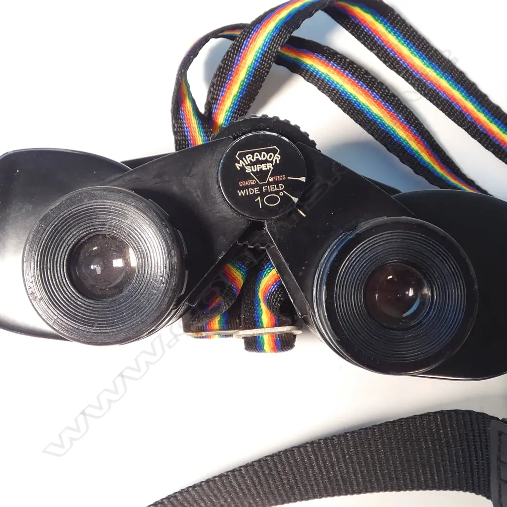 2 PRS BINOCULARS, CASED Image 1++