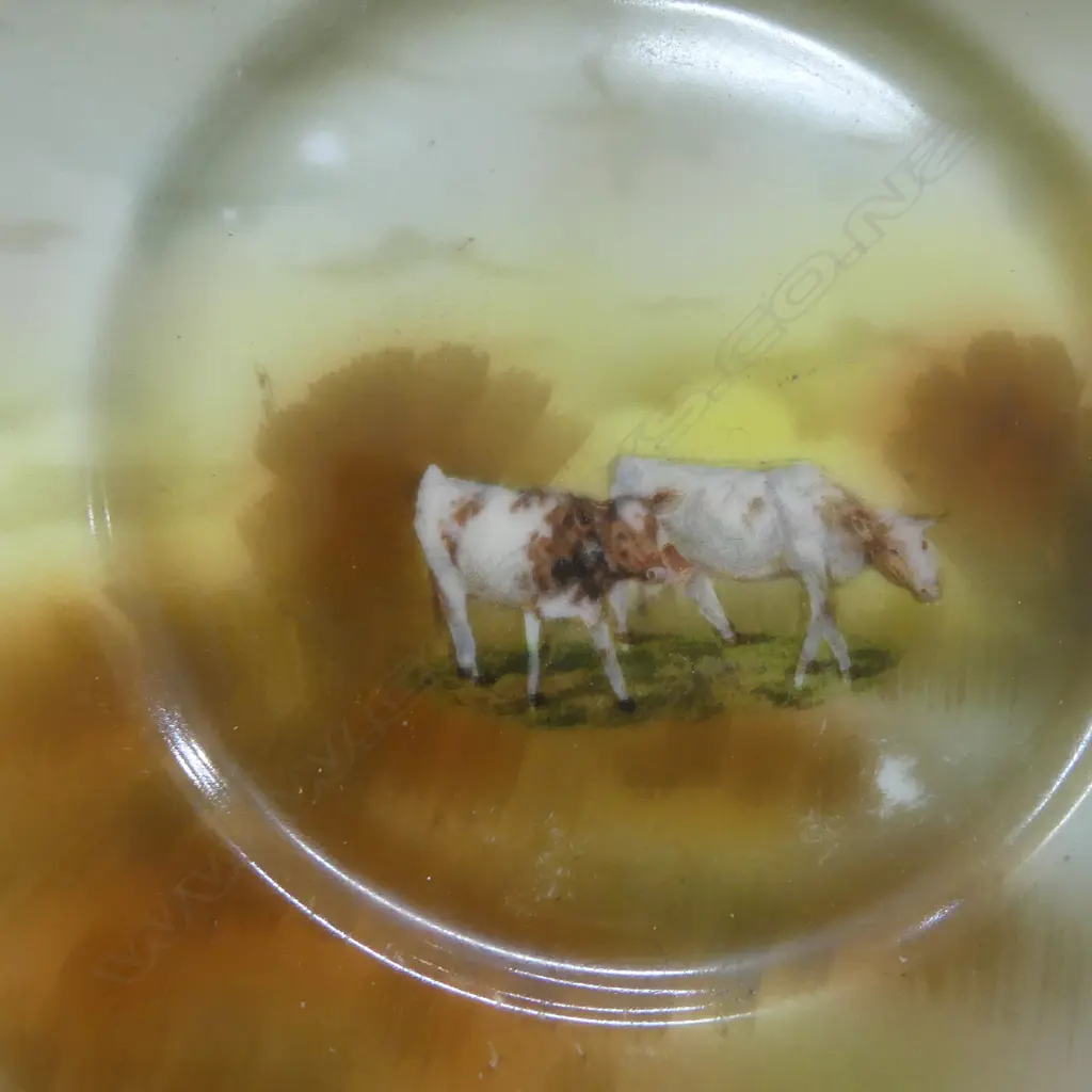 ROYAL BAYREUTH COW PAT. TEA CHINA; TRIO, CREAM, TEAPOT & 2 SUGARS  Image 1++