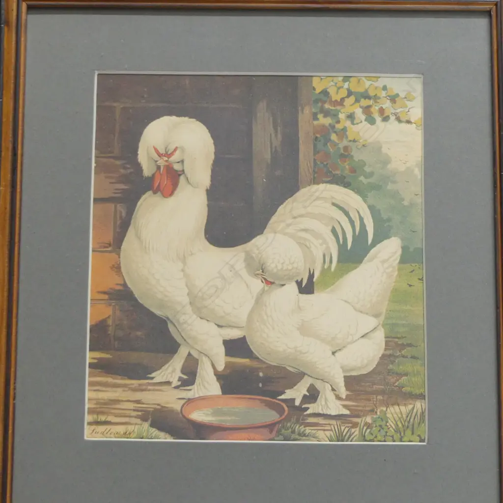4 CHOOK PRINTS 200x170mm Image 1++