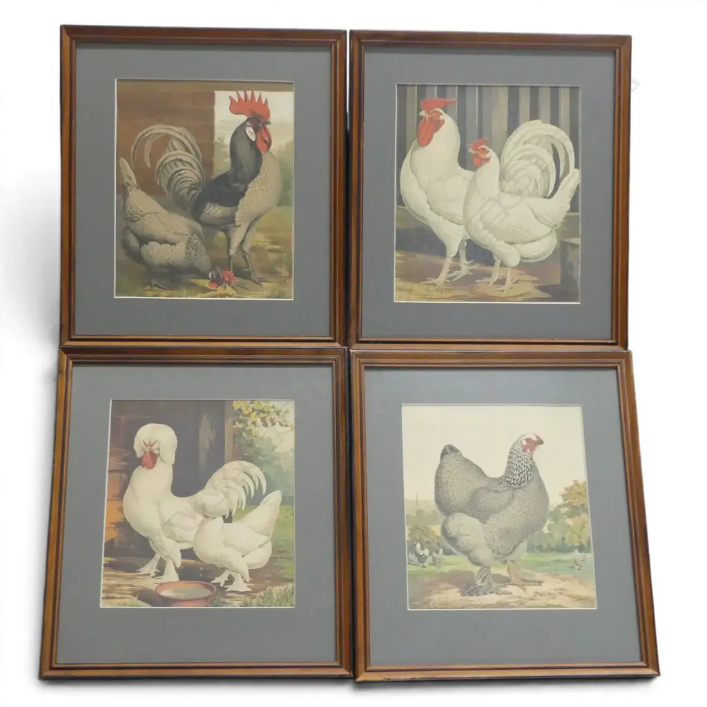 4 CHOOK PRINTS 200x170mm Image 1++