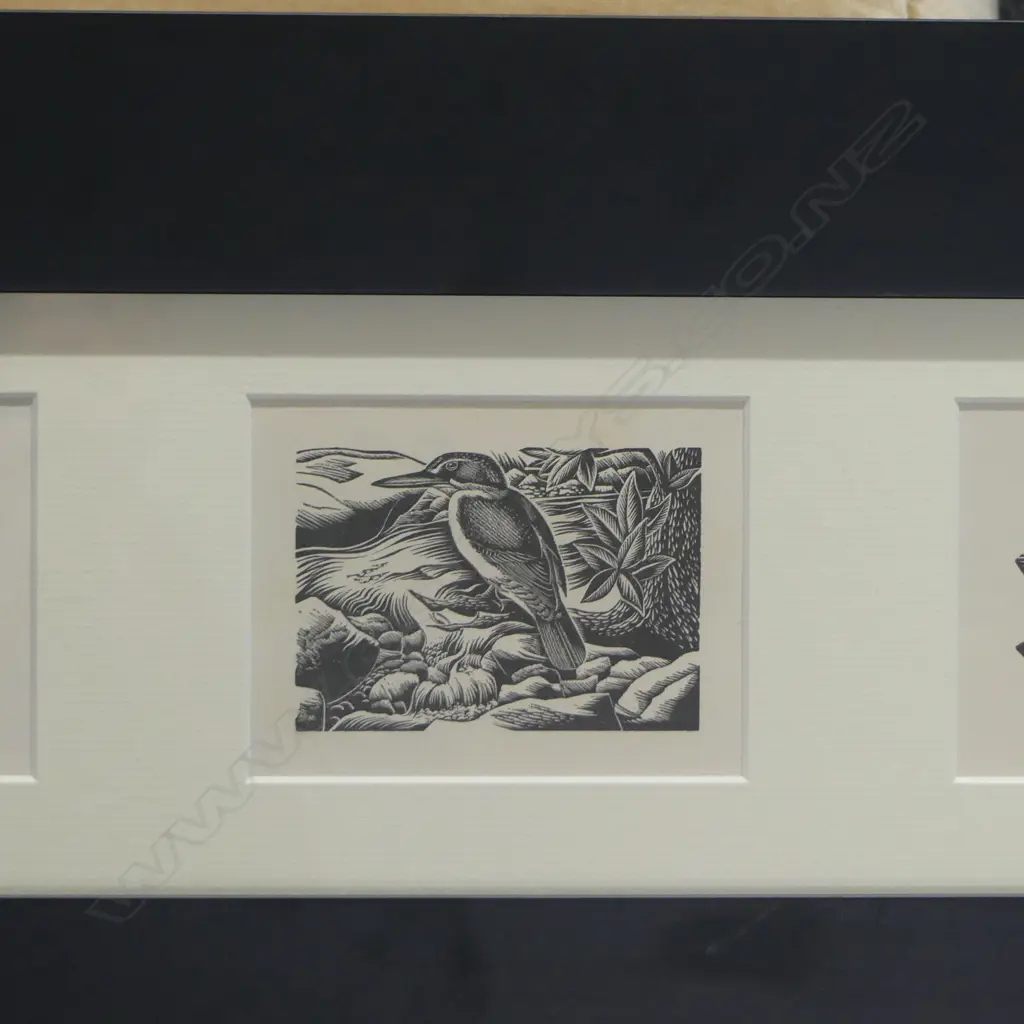 E. MERVYN TAYLOR, FRAMED TRIPTYCH OF 3 N.Z. NATIVE BIRDS, ORIGINAL BOOKPLATES FROM ENGRAVINGS ON WOOD 1957, 635x255mm Image 1++