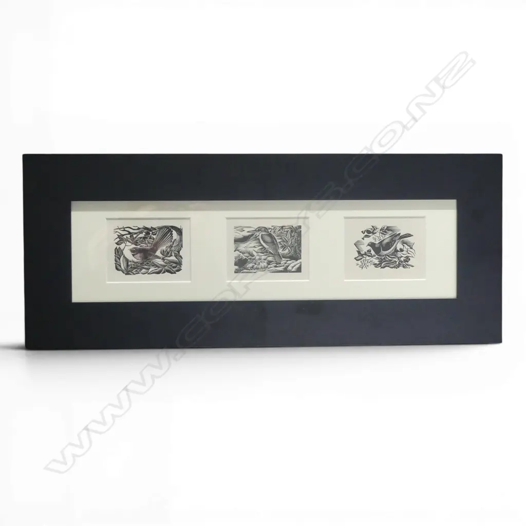 E. MERVYN TAYLOR, FRAMED TRIPTYCH OF 3 N.Z. NATIVE BIRDS, ORIGINAL BOOKPLATES FROM ENGRAVINGS ON WOOD 1957, 635x255mm Image 1++