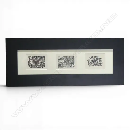 E. MERVYN TAYLOR, FRAMED TRIPTYCH OF 3 N.Z. NATIVE BIRDS, ORIGINAL BOOKPLATES FROM ENGRAVINGS ON WOOD 1957, 635x255mm