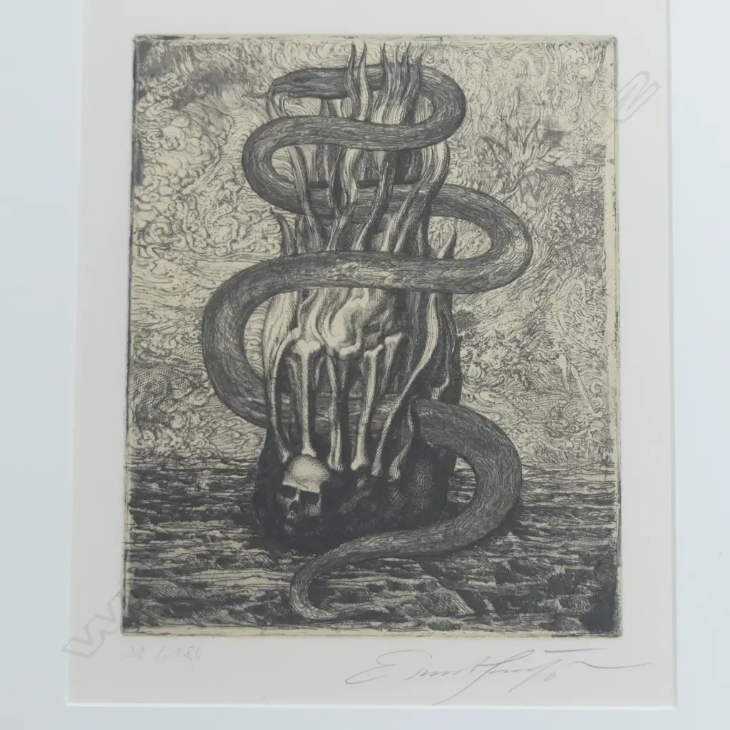 ERNST FUCHS, 'SNAKE & SKULL, DRYPOINT ETCHING ED. 32/180, 245 X 190mm Image 1++