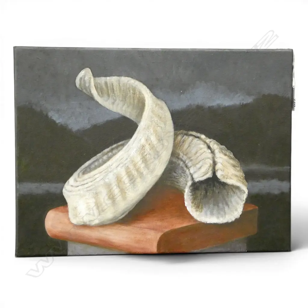 ROGER STAPLES (1942-2025), RAMS HORN, ACRYLIC ON LINEN 300x400mm Image 1++