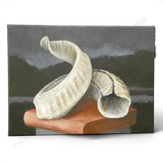 ROGER STAPLES (1942-2025), RAMS HORN, ACRYLIC ON LINEN 300x400mm