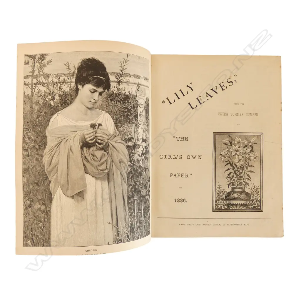 BOUND VOL GIRL'S OWN PAPER 1886 summer numbers Image 1++